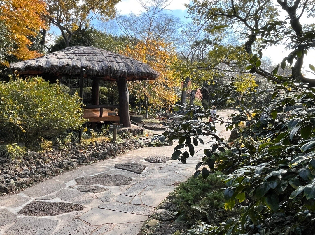 Camellia Hill-西归浦市必去景点