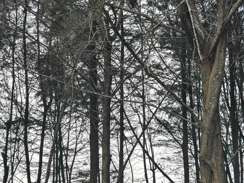 瓦恩西亚海滩度假村主图