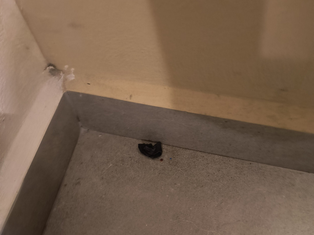 Fiesta Inn Express Hermosillo主图