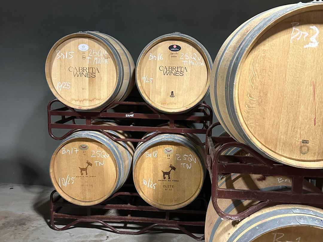 Cabrita Wines-Silves必去景点