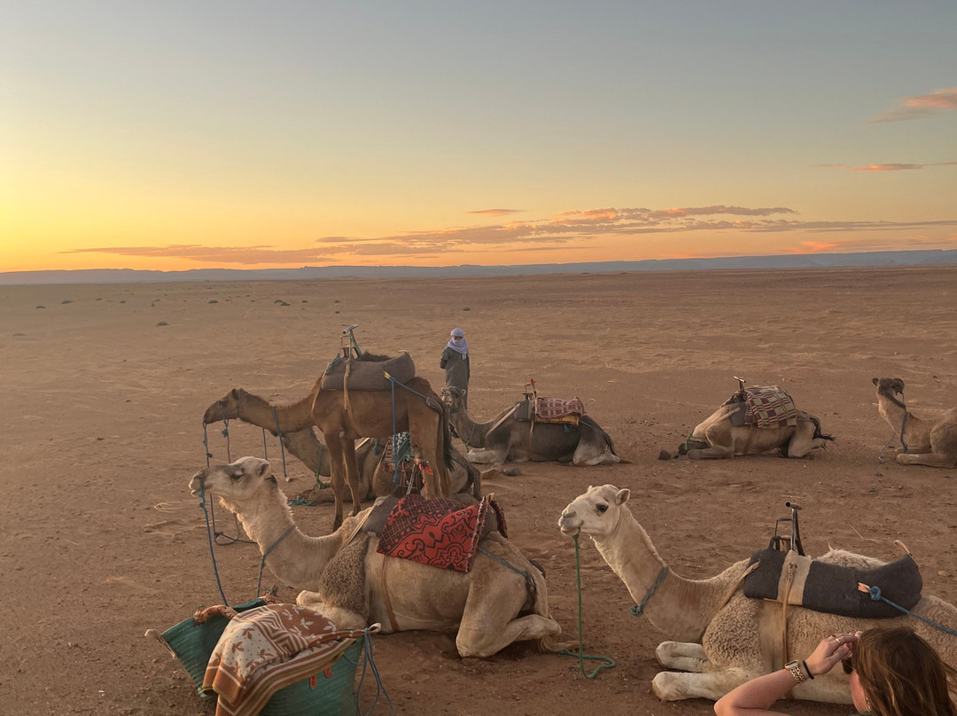 Sahara Relax-扎古拉必去景点