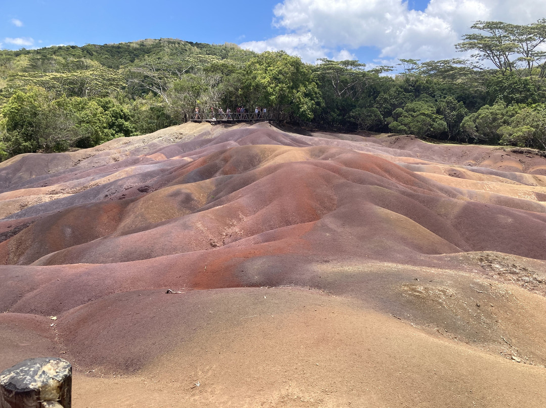 The Friendly Dodo-路易士港必去景点