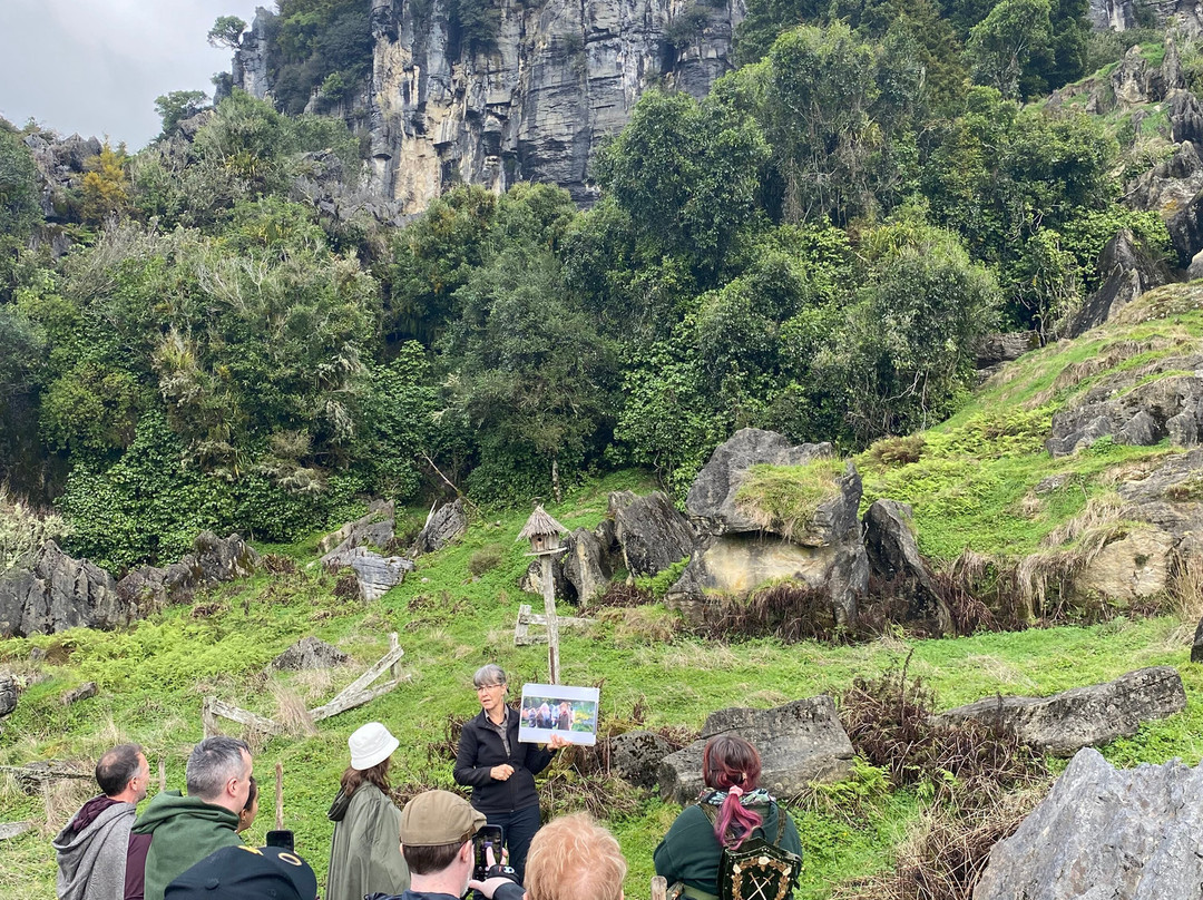 Red Carpet Tours-奥克兰中心地区必去景点