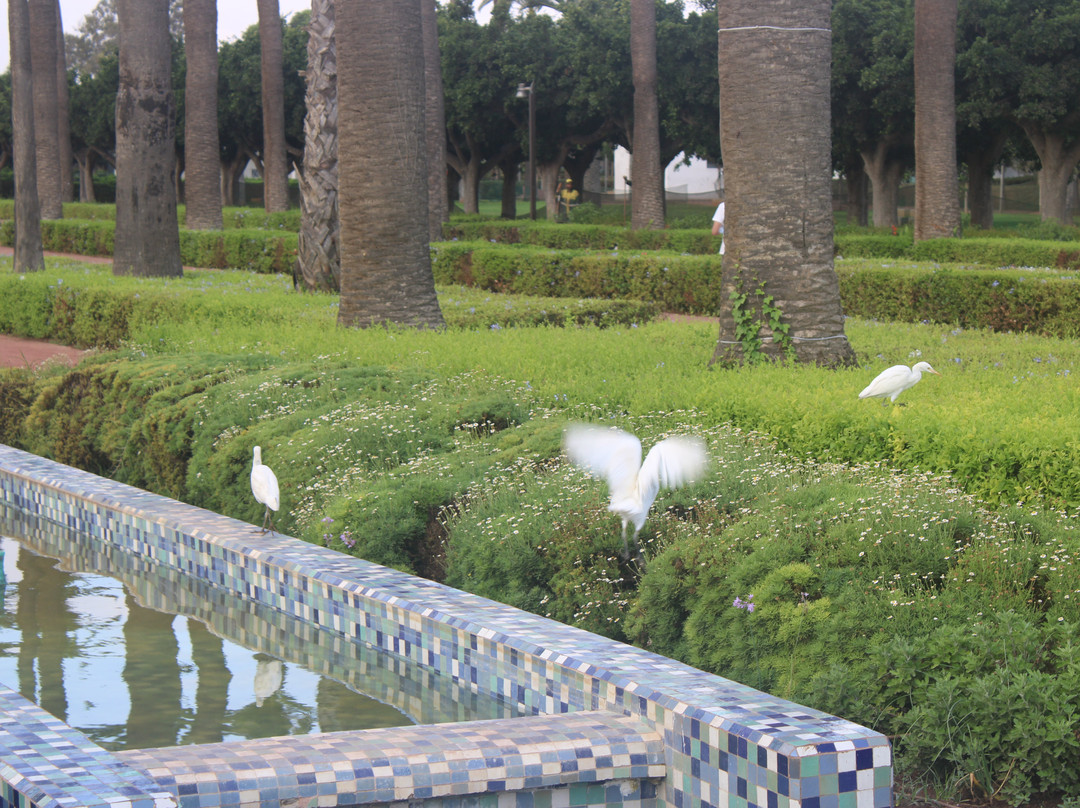 Parc de la Ligue Arabe-卡萨布兰卡必去景点