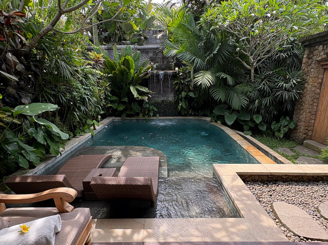 巴厘岛阿勒娜度假酒店主图