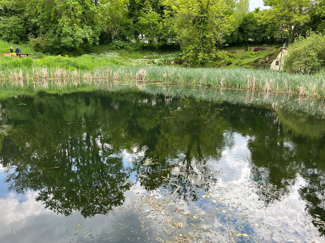 Jardin Botanique Jean-Marie Pelt-Villers-les-Nancy必去景点