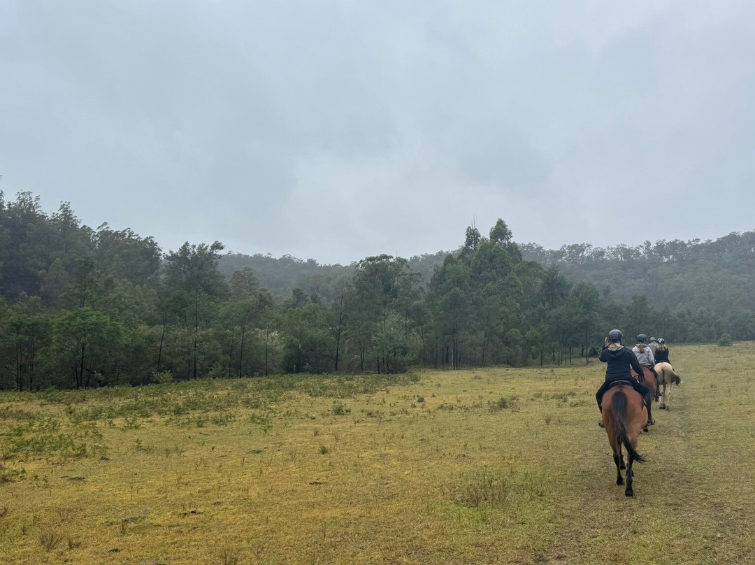 Chapman Valley Horse Riding-Howes Valley必去景点