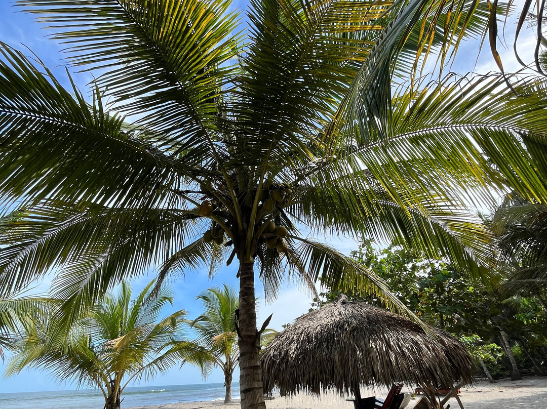 La Mar de Bien主图