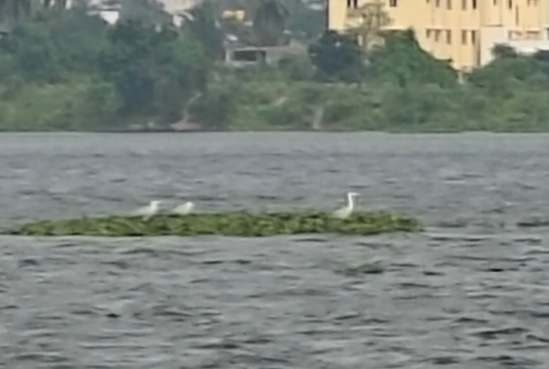 Hotel NKC Airport主图