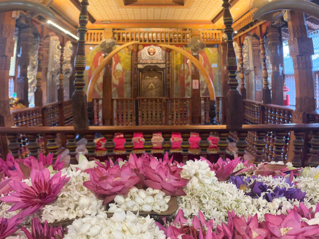 H.O.T Tourism-科伦坡必去景点