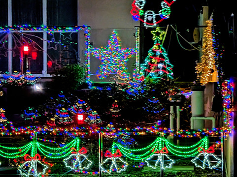 Beachcomber Charters-黄金海岸必去景点