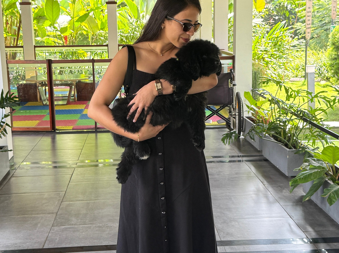 GReaT Trails Wayanad By GRT Hotels主图