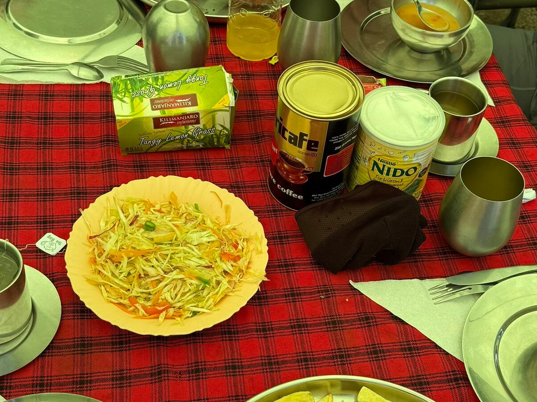 Dotcom Safaris Ltd-莫西必去景点