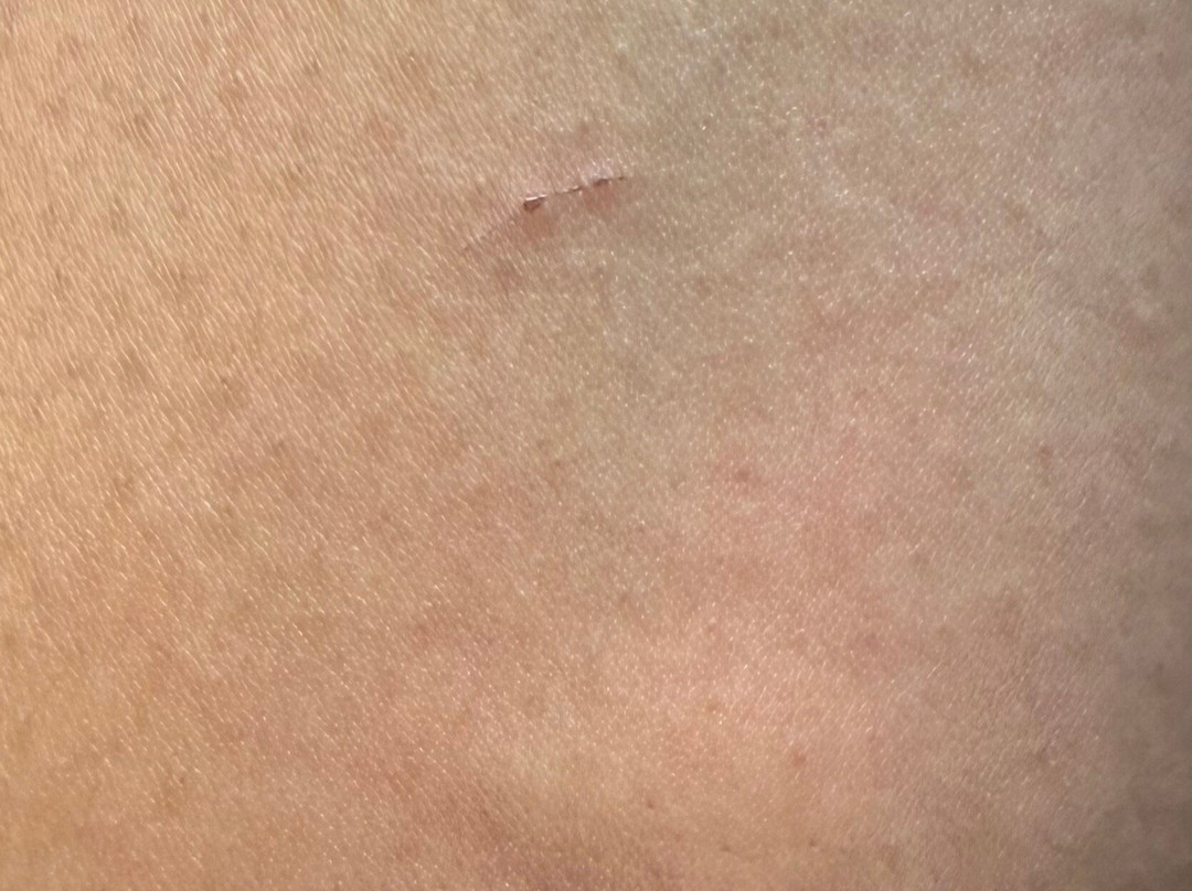 Quality Inn Burkeville Hwy 360 & 460主图