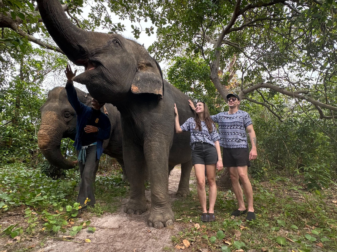 Koh Yao Elephant Beach-阁耀亚伊岛必去景点