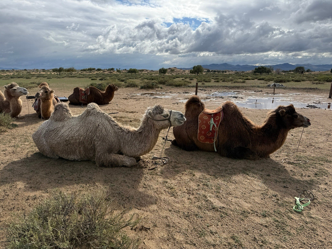 Sunpath Mongolia-乌兰巴托必去景点