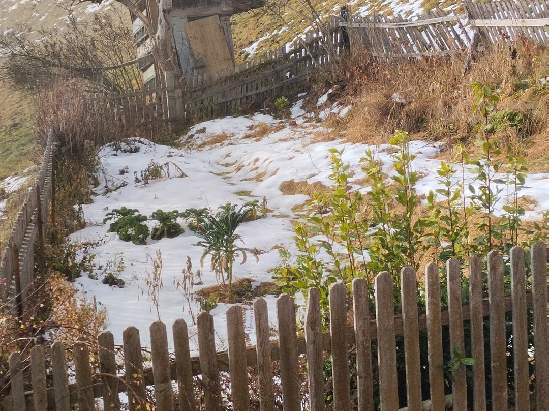 Biogasthaus Restaurant Plonerhof主图