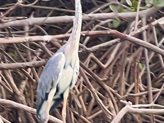 Almamy Badiane Tours-达喀尔必去景点