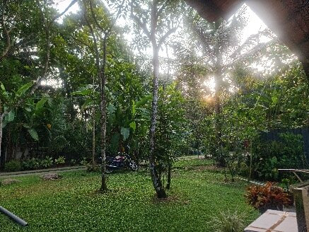 Marari Arattukulam Haven Homestay主图