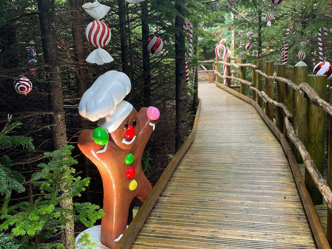 Raby Castle, Park And Gardens-Staindrop必去景点