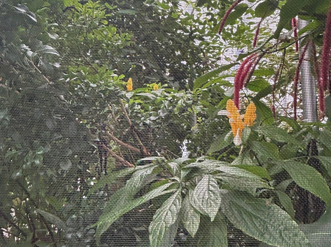 The Leaf-温尼伯必去景点