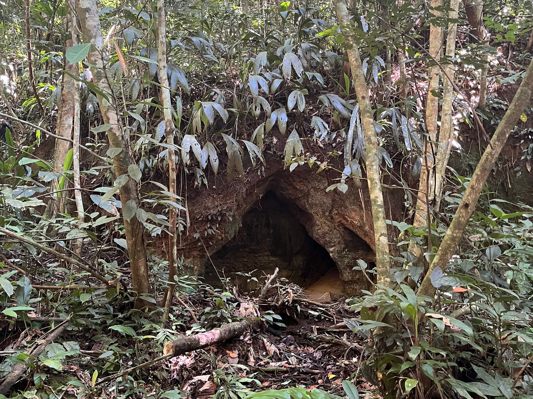 Reserva ecoturística las palmas-Florencia必去景点