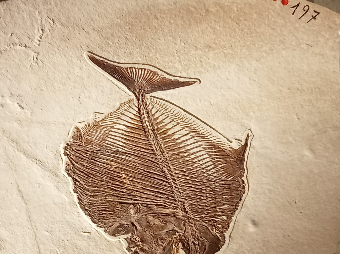 Memory of Time-朱拜勒必去景点