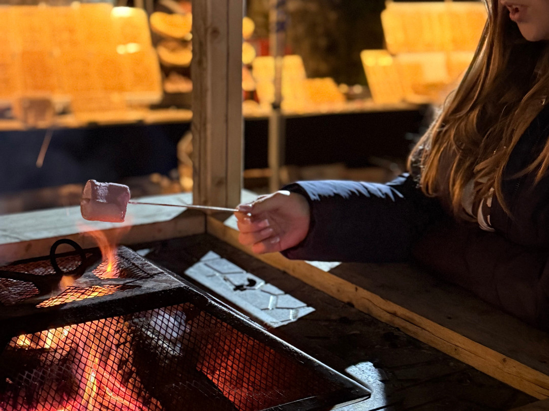 Gwrych Castle-Abergele必去景点