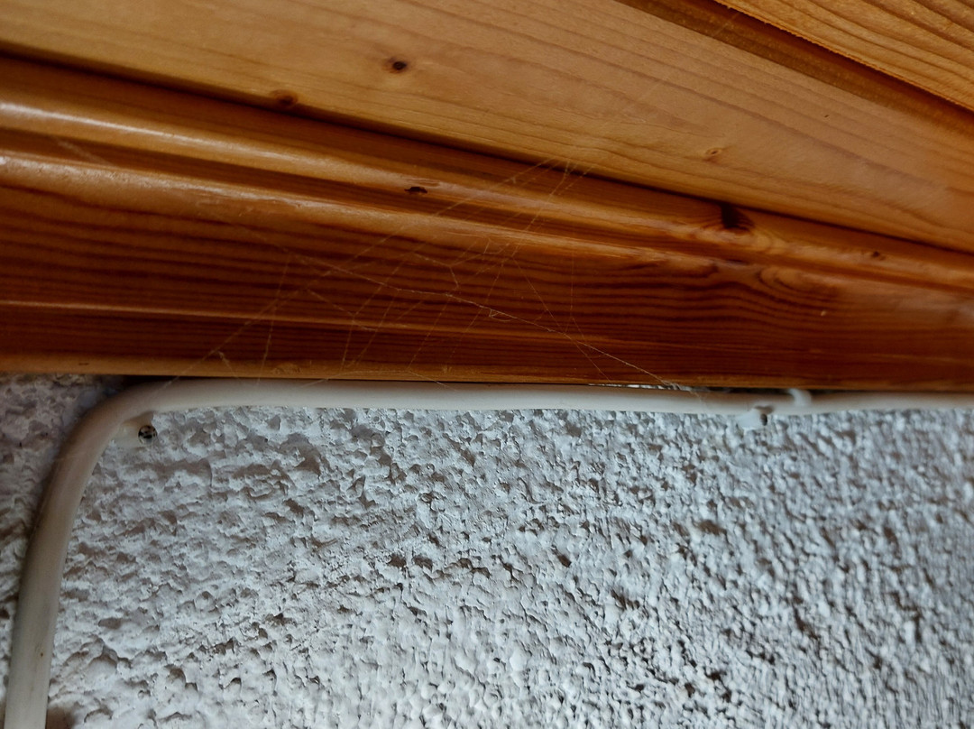 Hotel Orfeas Delphi主图