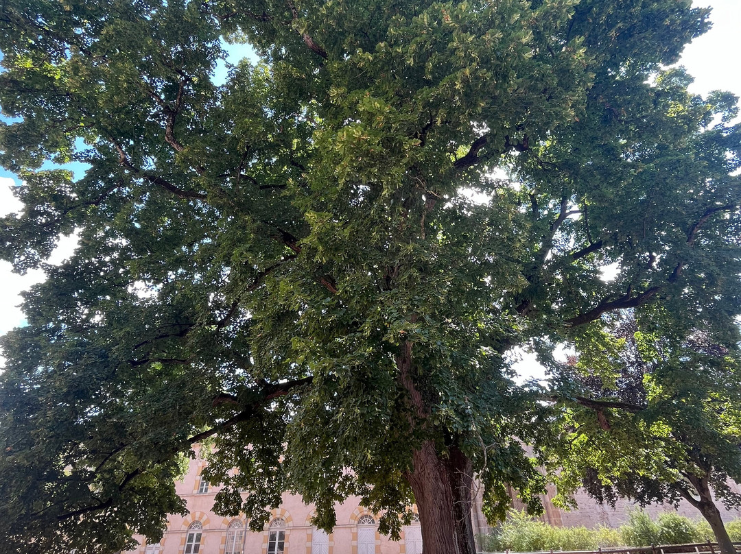 Haras National de Cluny-Cluny必去景点