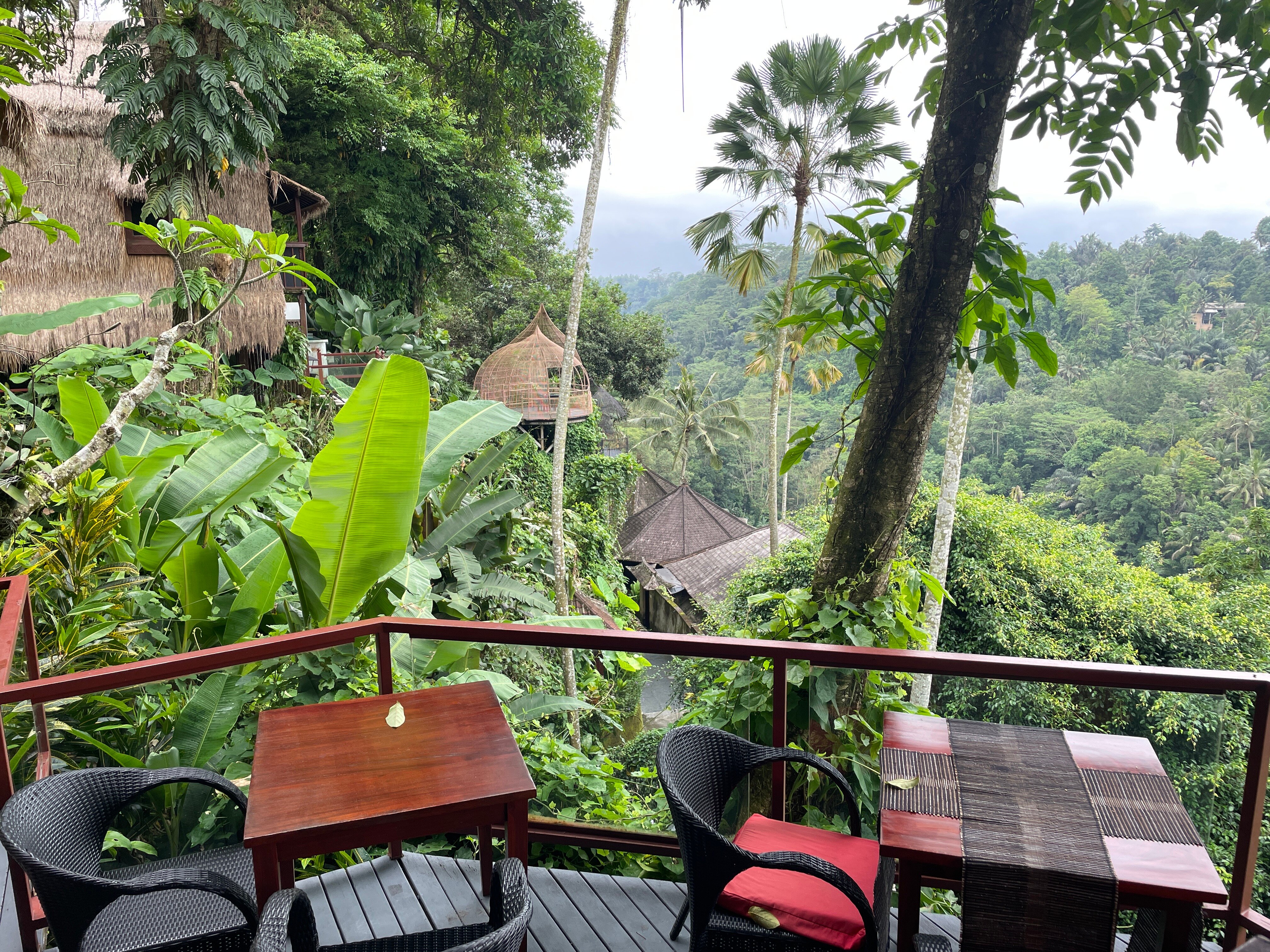 巴龙蝴蝶度假村-官方