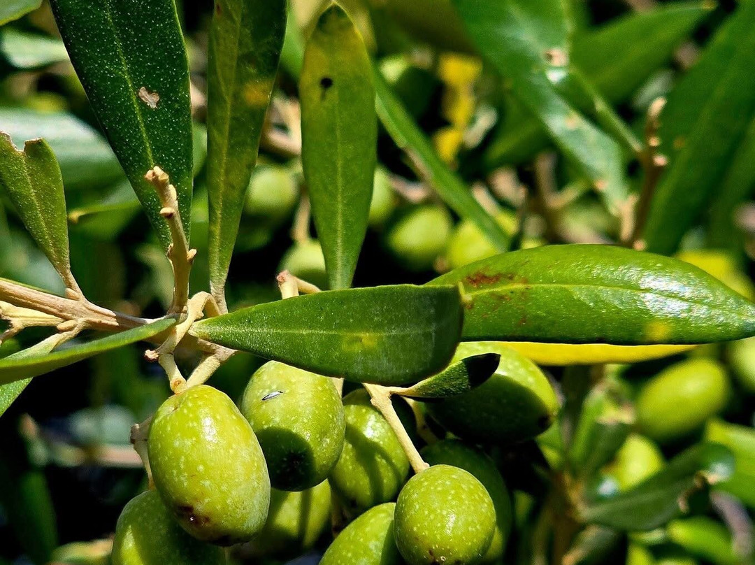 理想家园酒店主图