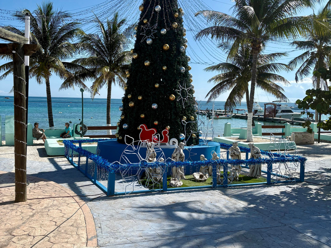 Playa de Puerto Morelos-从莫雷洛斯港必去景点