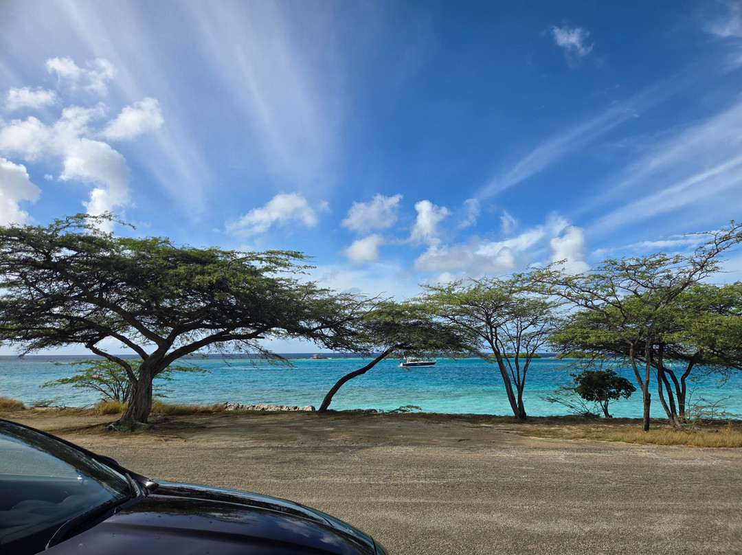 Mangel Halto Beach-萨瓦内塔必去景点