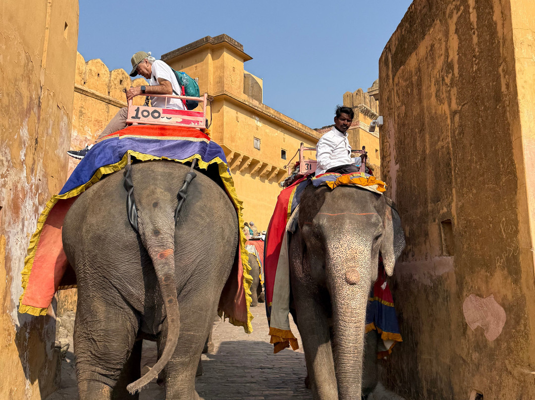 Elefun-斋蒲尔必去景点