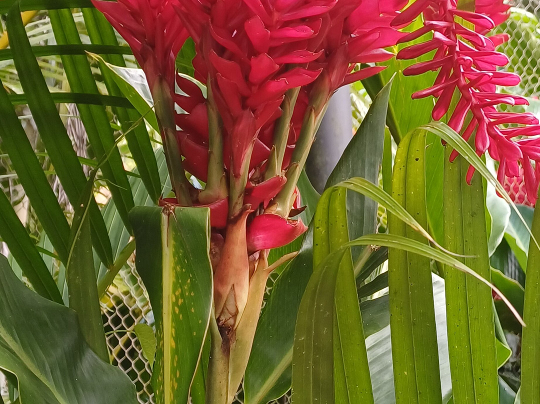 Jardin Botanique de Valombreuse-Petit-Bourg必去景点