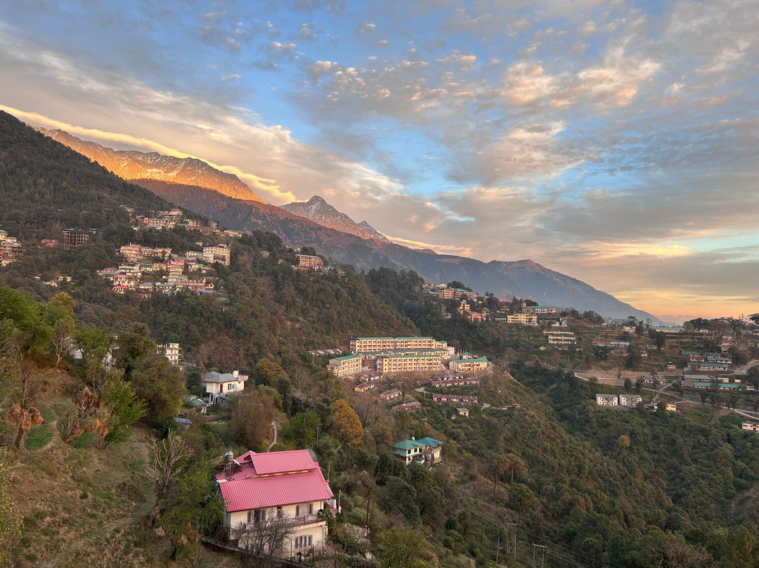 Best Western Plus Revanta主图