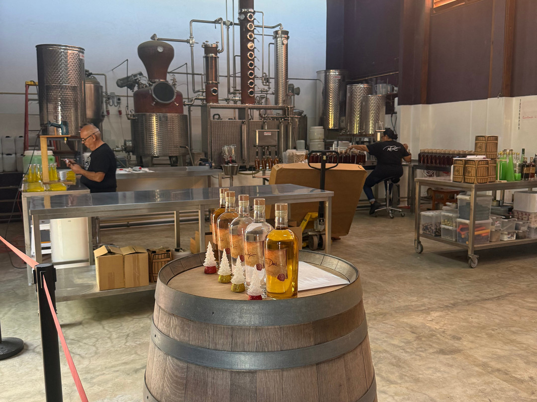 The Cadushy Distillery-Rincon必去景点