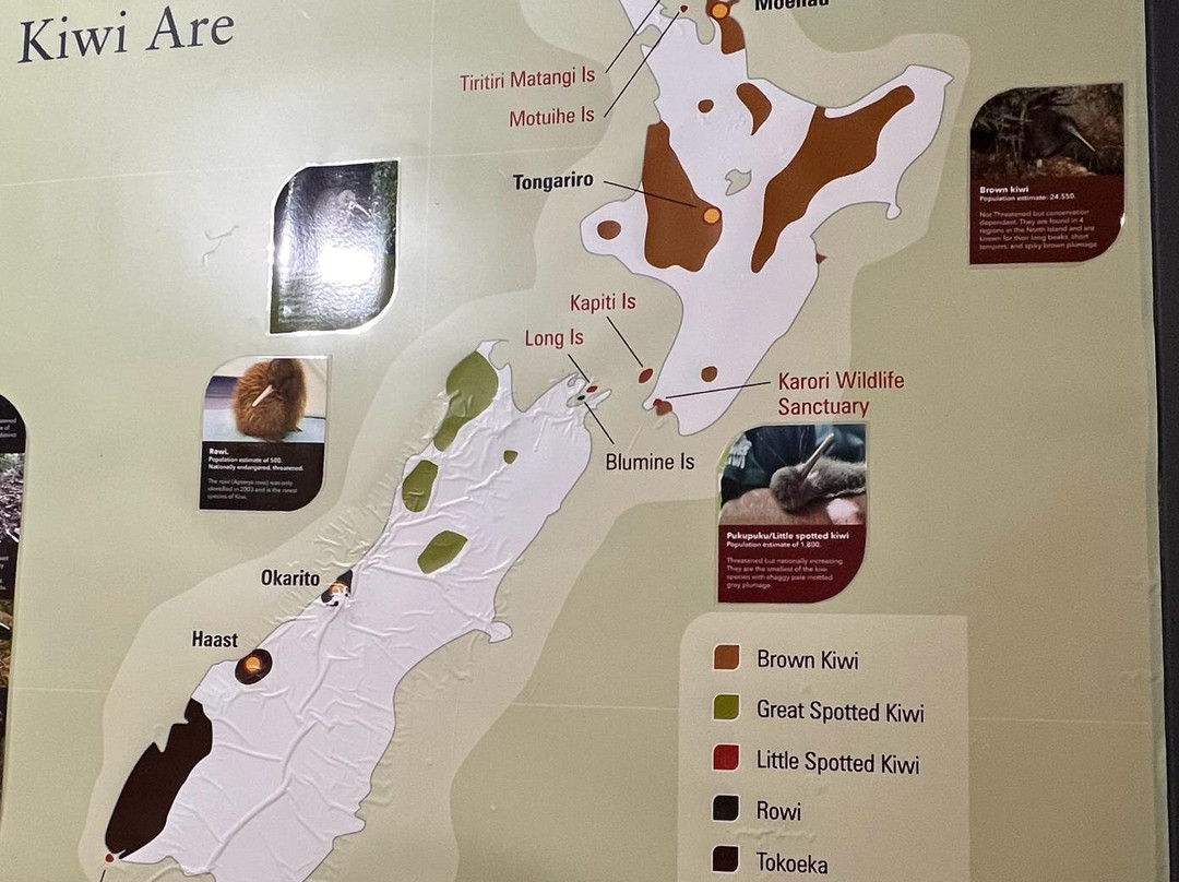 国家奇兽中心-霍基蒂卡必去景点