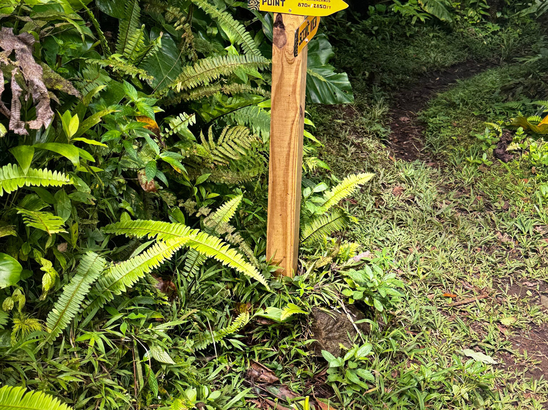 Mount Scenery-Windwardside必去景点