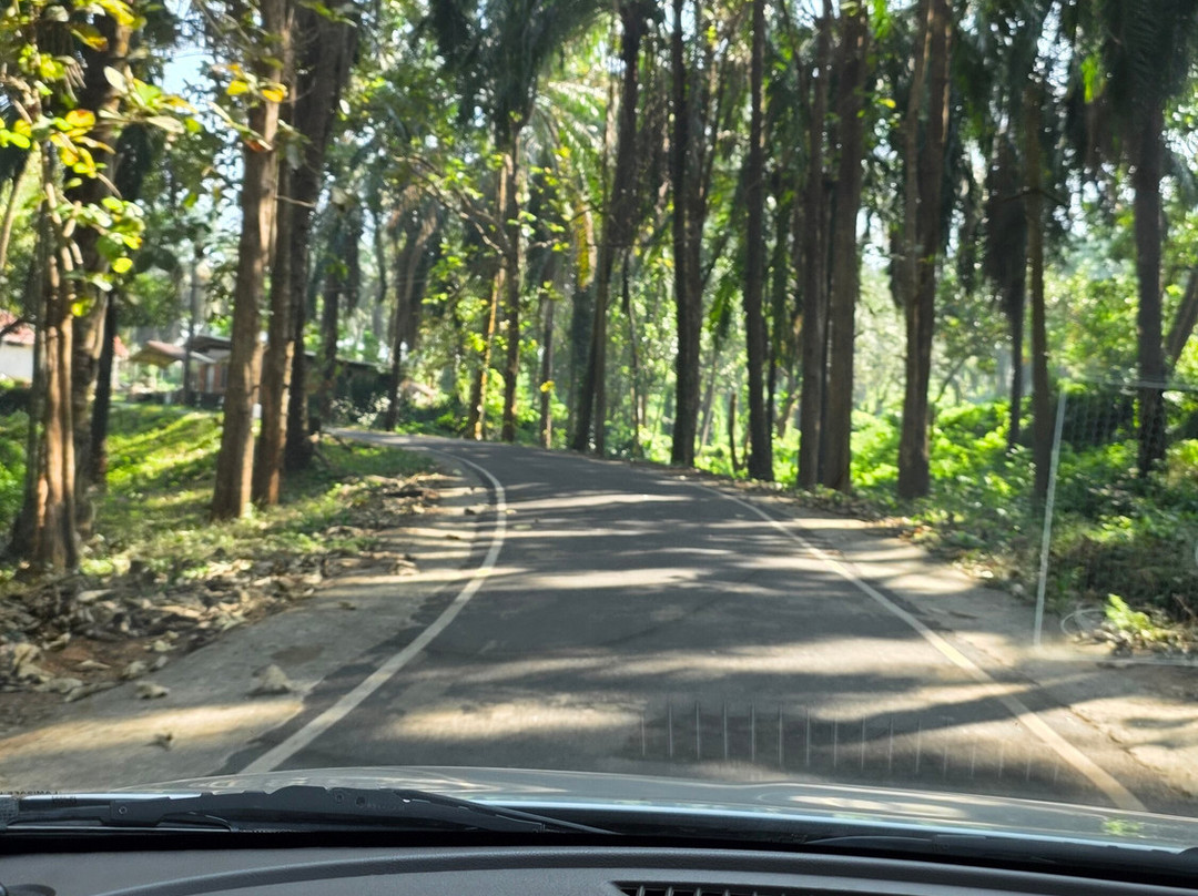 Kerala Dayz-柯钦必去景点