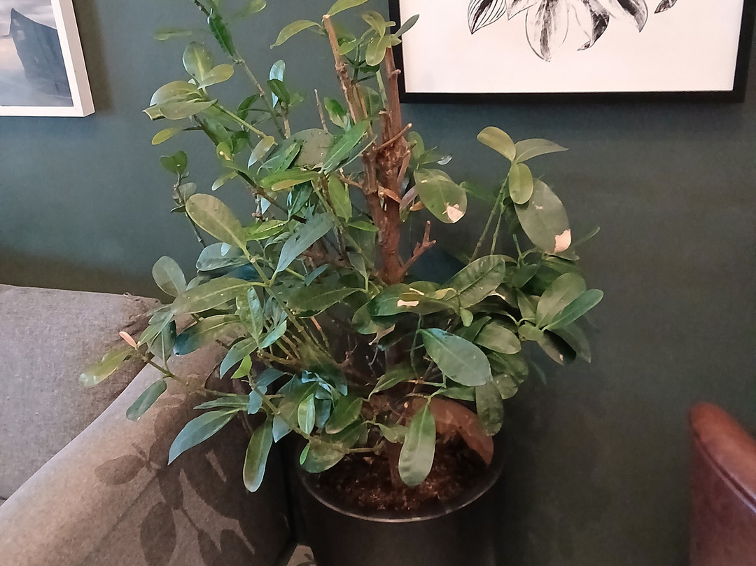 和谐酒店-1婆罗洲哥打京那巴鲁主图