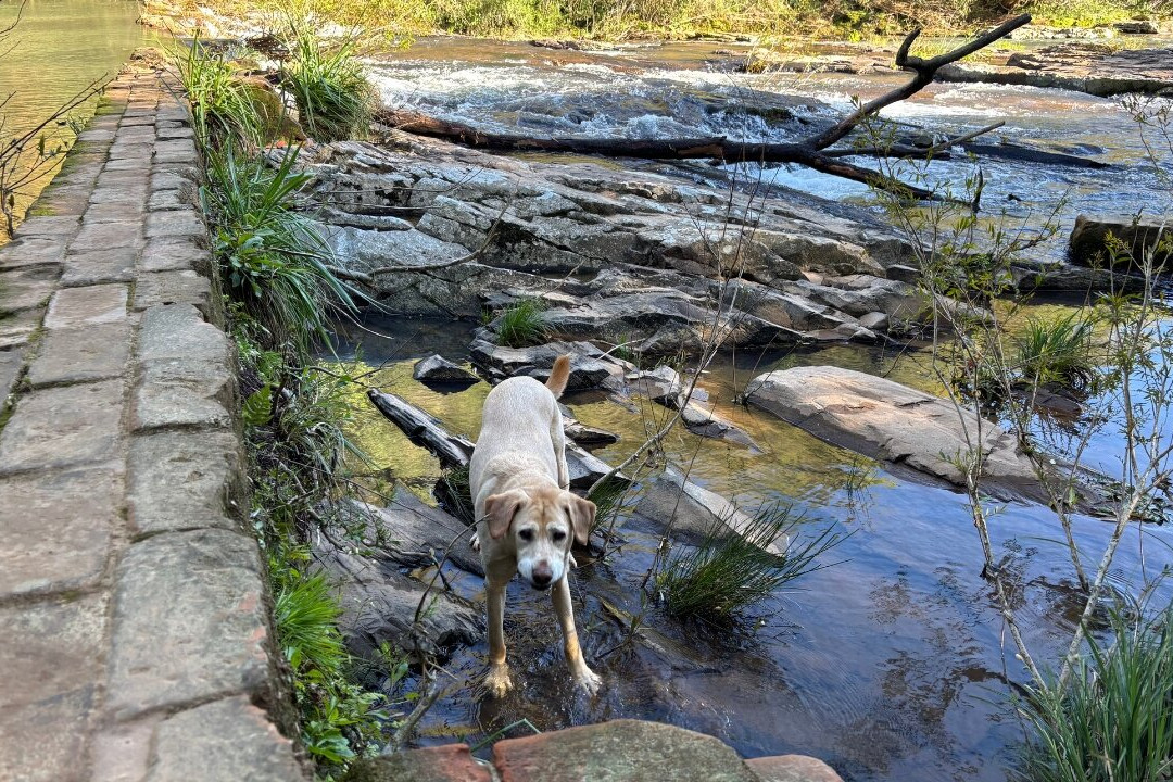 Cascata da Pedra Grande-Marau必去景点