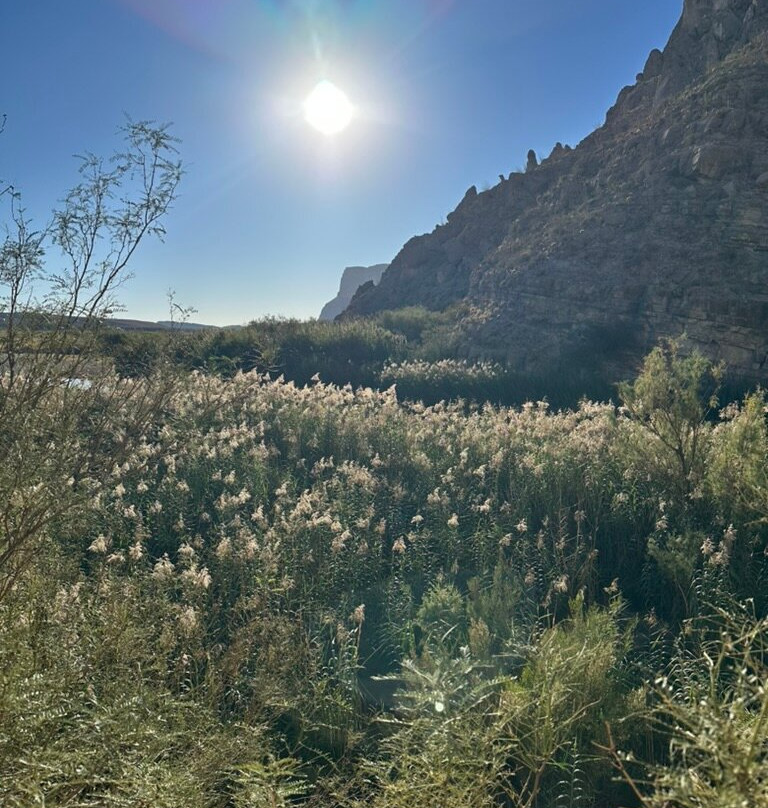 Ross Maxwell Scenic Drive-大弯国家公园必去景点