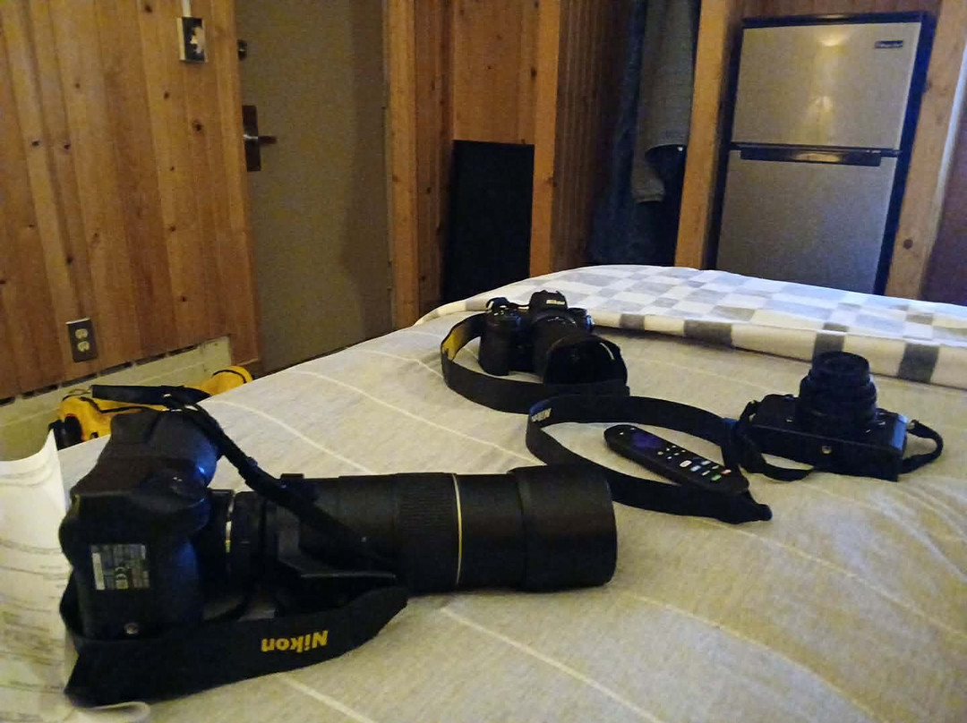 Willard Munger Inn主图