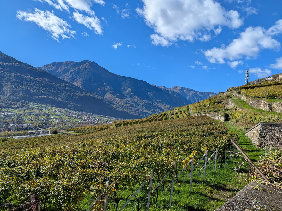 Panchina Gigante Sondrio-Sondrio必去景点