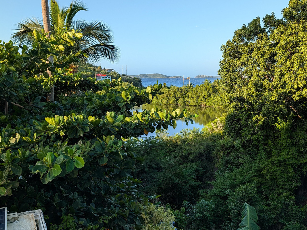 Garden by the Sea B&B主图