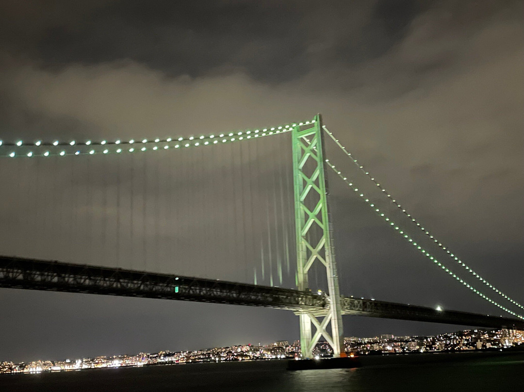 Ferry Sunflower-别府市必去景点