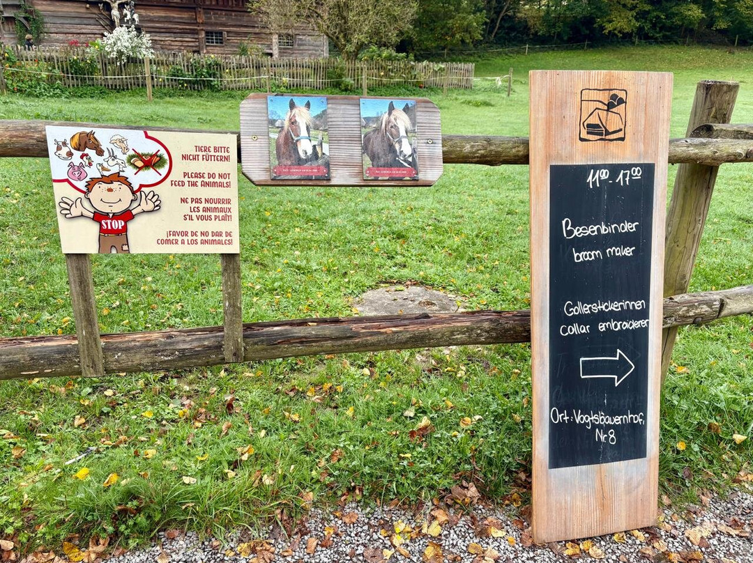 Schwarzwälder Freilichtmuseum Vogtsbauernhof-Gutach im Schwarzwald必去景点