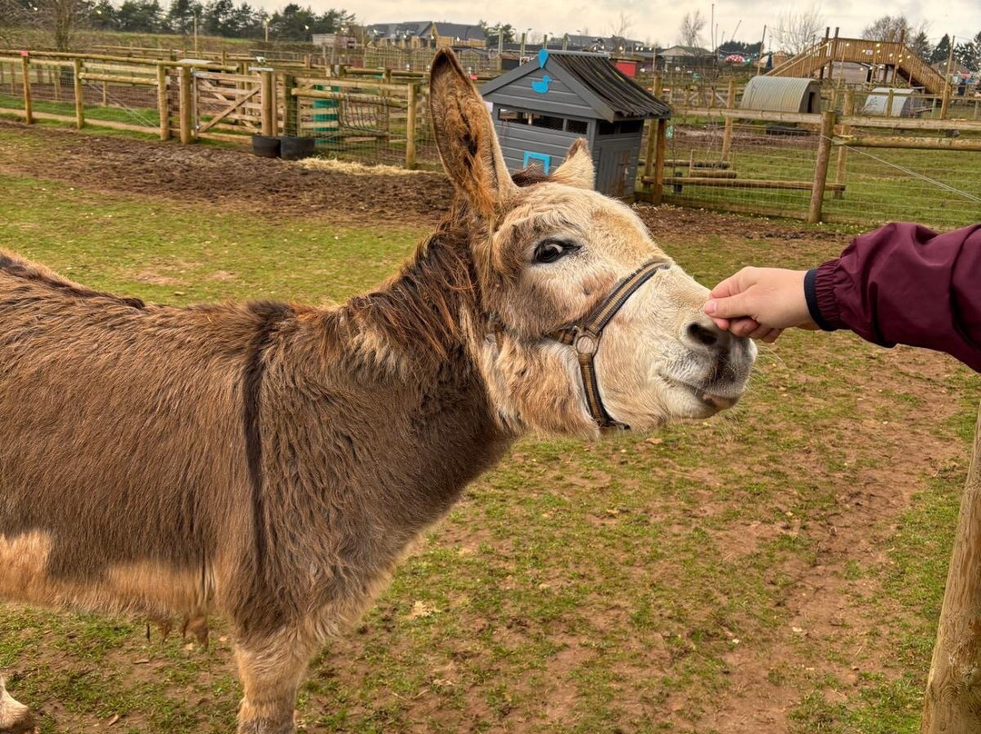 Fairytale Farm-奇平诺顿必去景点
